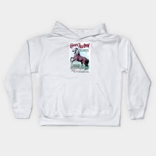 19th C. Chase's Horse Blankets Kids Hoodie